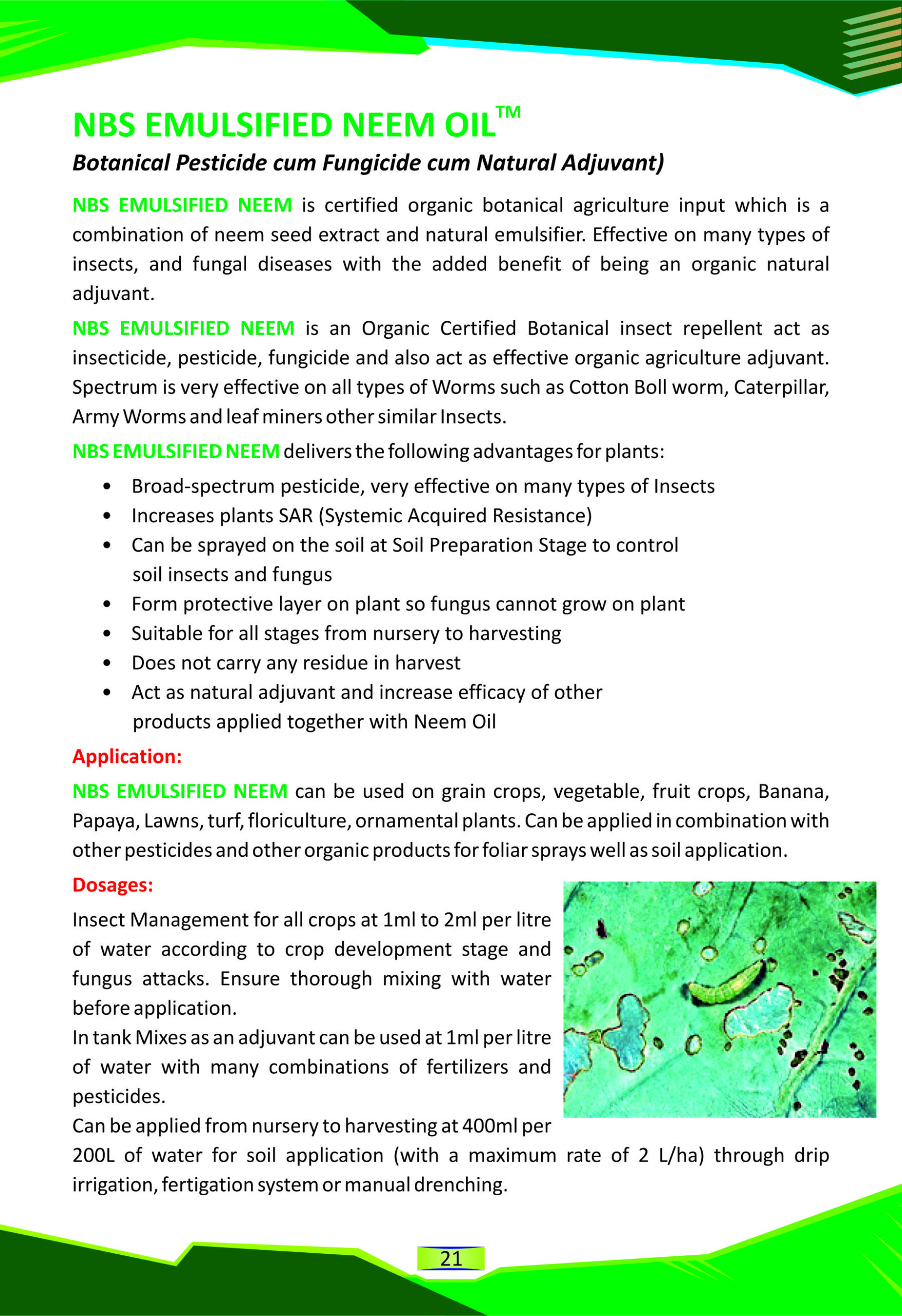 3-NBS-Emulsified-Neem-Oil-scaled-1.jpg
